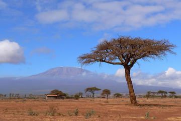 3 Days Kenya Road Safari Package from Mombasa to Tsavo East and Amboseli